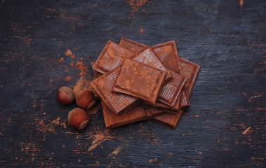 Pieces of Chocolate with Hazelnuts, on dark wooden background