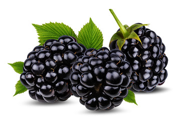 Three fresh blackberries with leaf isolated on white background with clipping path