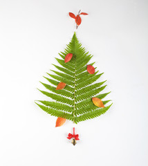 Christmas tree made of fern leaves and branches. Holiday concept.