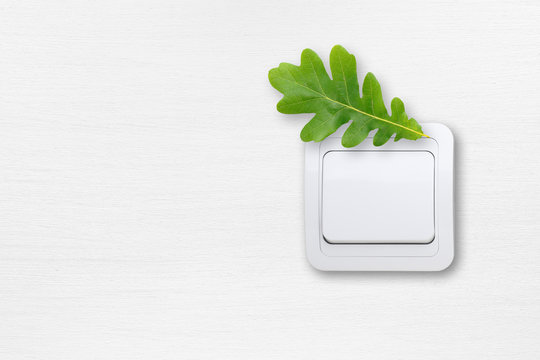 Saving energy concept - light switch on white wall with green oak leaf