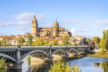 Cathedral of Salamanca and bridge over Tormes river, Spain - obrazy, fototapety, plakaty