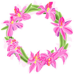 Vector bright illustration of orchids floral wreath