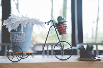 Bicycle with cactus for decorate coffee shop vintage style