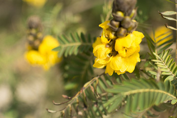 Summer on Cyprus