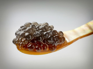  Mother of pearl caviar spoon
