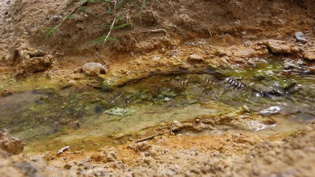 Thermal spring Rupite, Bulgaria. HD video.