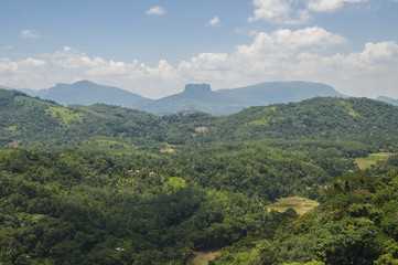 Obraz premium the nature of Sri Lanka