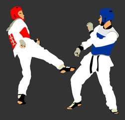 Fototapeta na wymiar Fight between two taekwondo fighters vector illustration isolated. Sparring on training action. Self defense, defence art exercising concept. Warriors in the martial arts battle. Combat competition.