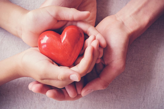 adult and child hands holding red heart, health care, love, organ donation, family insurance and CSR concept, world heart day, world health day, world hypertension day, foster home care