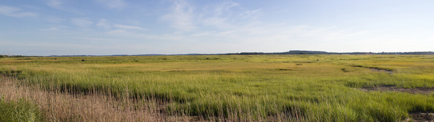 Fototapeta premium Plum Island Panarama