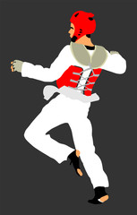 Taekwondo fighter vector illustration isolated. Sparring on training action. Self defense, defence art exercising concept. Warrior in the martial arts battle. Combat competition.