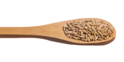 Oat Grain.