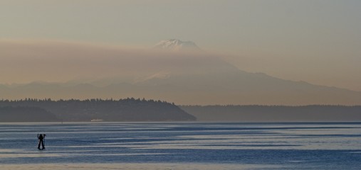 Mount Rainer In Mist