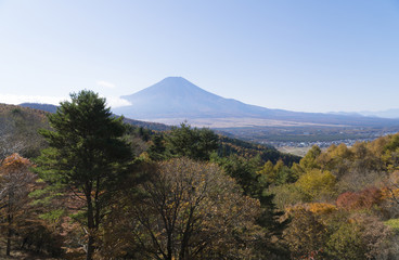 Fototapeta premium 富士山 紅葉