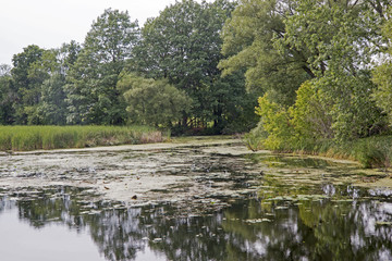  Tranquil pond in Eastern Canada