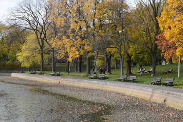 Naklejka premium Nature