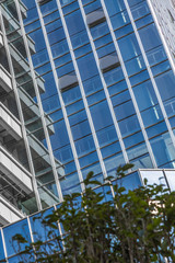 modern office building with green trees