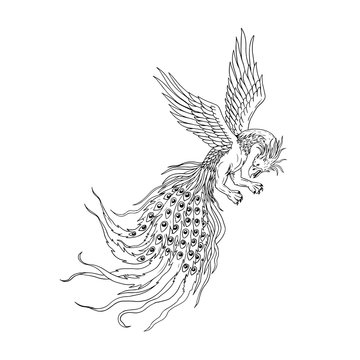 Simorgh or Simurgh Flying Drawing