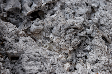 Pile of ashes after the fire went out. Ash texture.Burned out ashes grunge texture