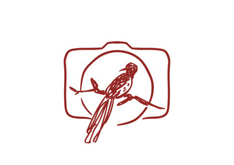 Animal Photography Bird Icon