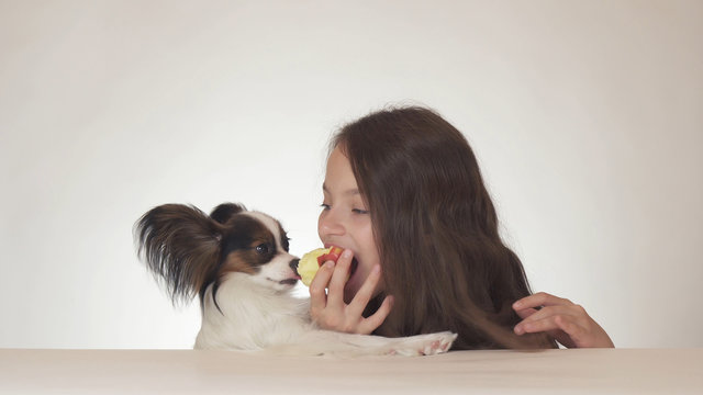 Beautiful teen girl and dog Continental Toy Spaniel Papillon eating tasty fresh red apple on white background