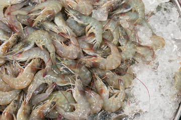prawn seafood