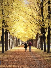 couple walking in fall