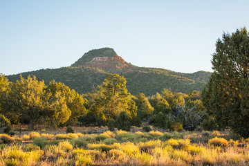 Fototapeta premium Landscape