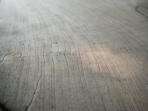 OLYMPUS DIGITAL CAMERA - Powered by Adobe