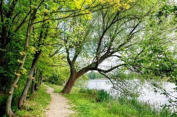 Obraz premium nature