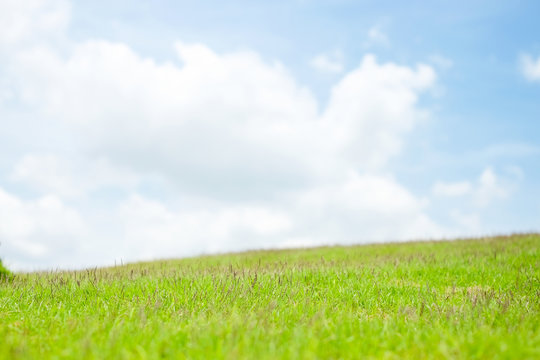 beautiful layer of green grass and blue sky cloud background.
