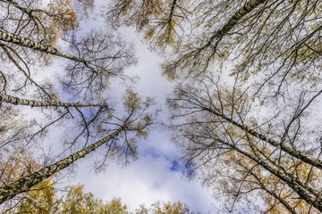 The sky in autumn Park