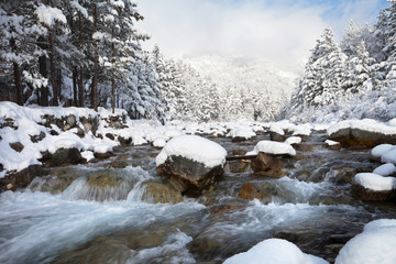 Swift mountain river with stony rapids and snowy forest in the mountains on a sunny winter day