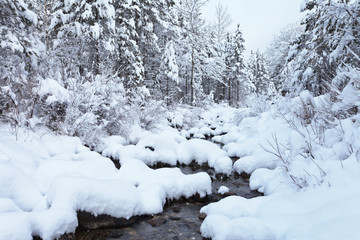 Winter landscape with a forest stream and snowy trees after a heavy snowfall