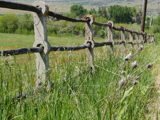 fence