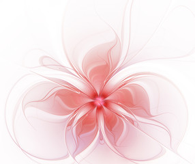 Fototapeta na wymiar Abstract red flower on a white background