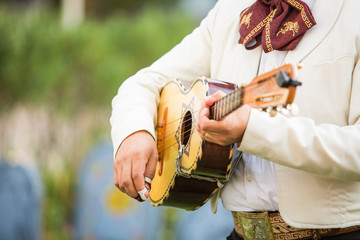 Mariachi guitar