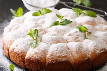 Fototapeta na wymiar Austrian Bucheln (sweet yeast rolls) decorated with mint and powdered sugar close-up. horizontal