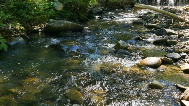4K. Mountain  stream, river in wood with waterfall. Panorama