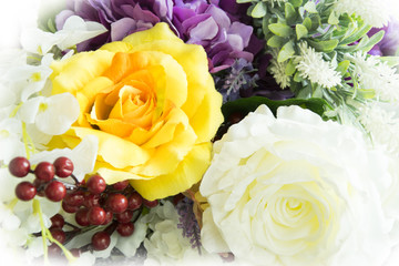 white rose and yellow rose flower background.