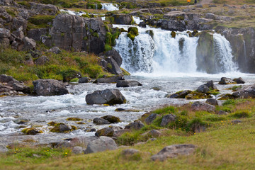 Obraz premium Summer Iceland Landscape with a Waterfall