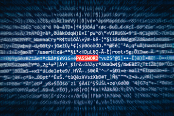 Screen with code where the word PASSWORD is highlighted
