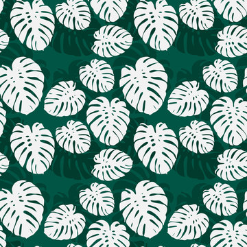 Seamless monstera palm leaves pattern for your summer background. Vector tropical exotic illustration