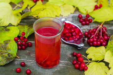 Still life with viburnum tea on wooden background