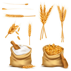 Vector set realistic canvas bags full of grains or cereals, flour, spikes. Harvest of wheat, rye, barley, oat. 3d illustrations, print, design elements