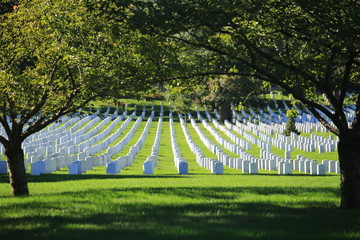 White graveyard and distributed tombstone