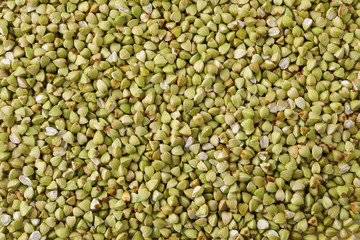 蕎麦の実　Buckwheat seed