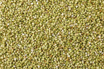 蕎麦の実　Buckwheat seed