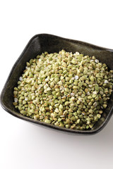 蕎麦の実　Buckwheat seed