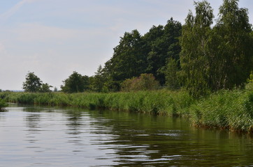 Fototapeta na wymiar Rzeka